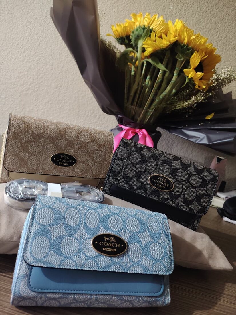 Carteras Coach azul y gris